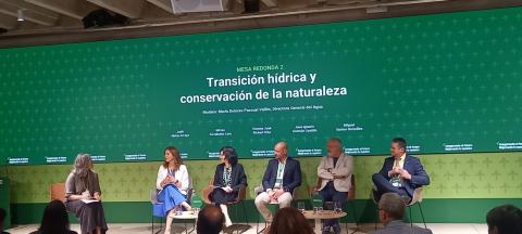 Vicente Richart en la mesa sobre transición hídrica